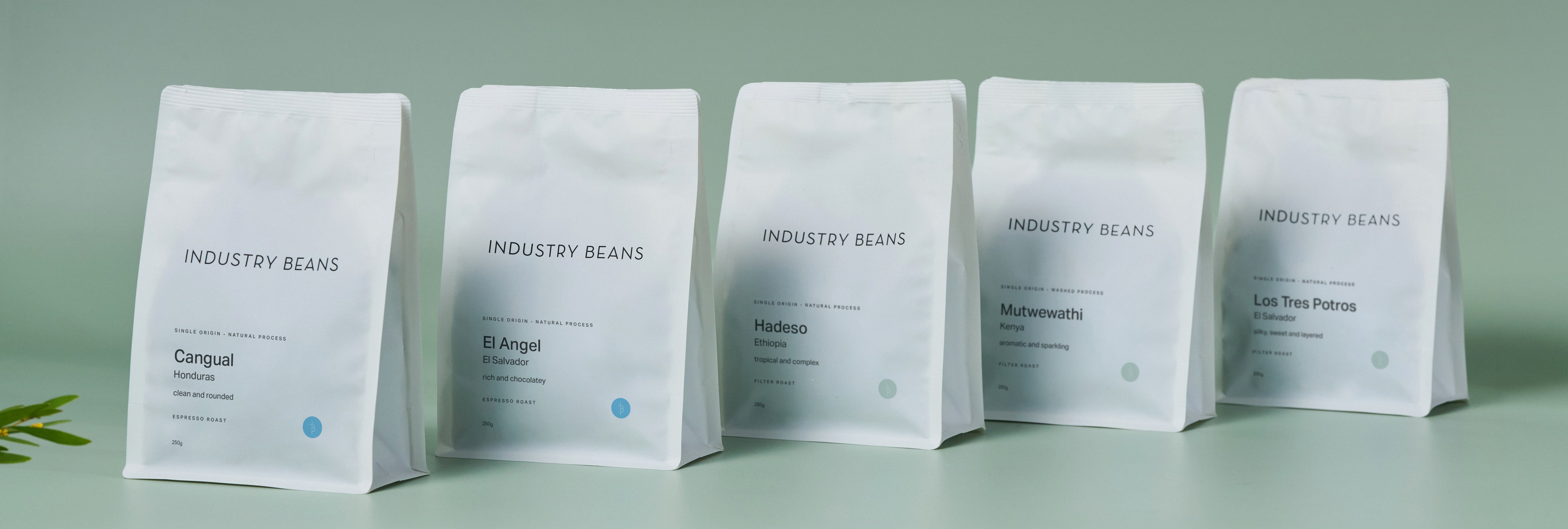 Meet Our Spring Single Origin Coffees