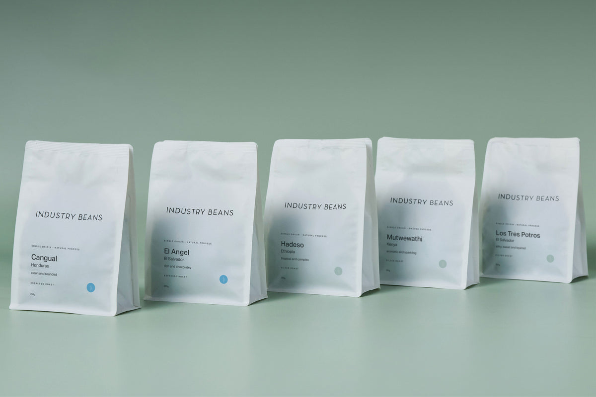 Meet Our Spring Single Origin Coffees