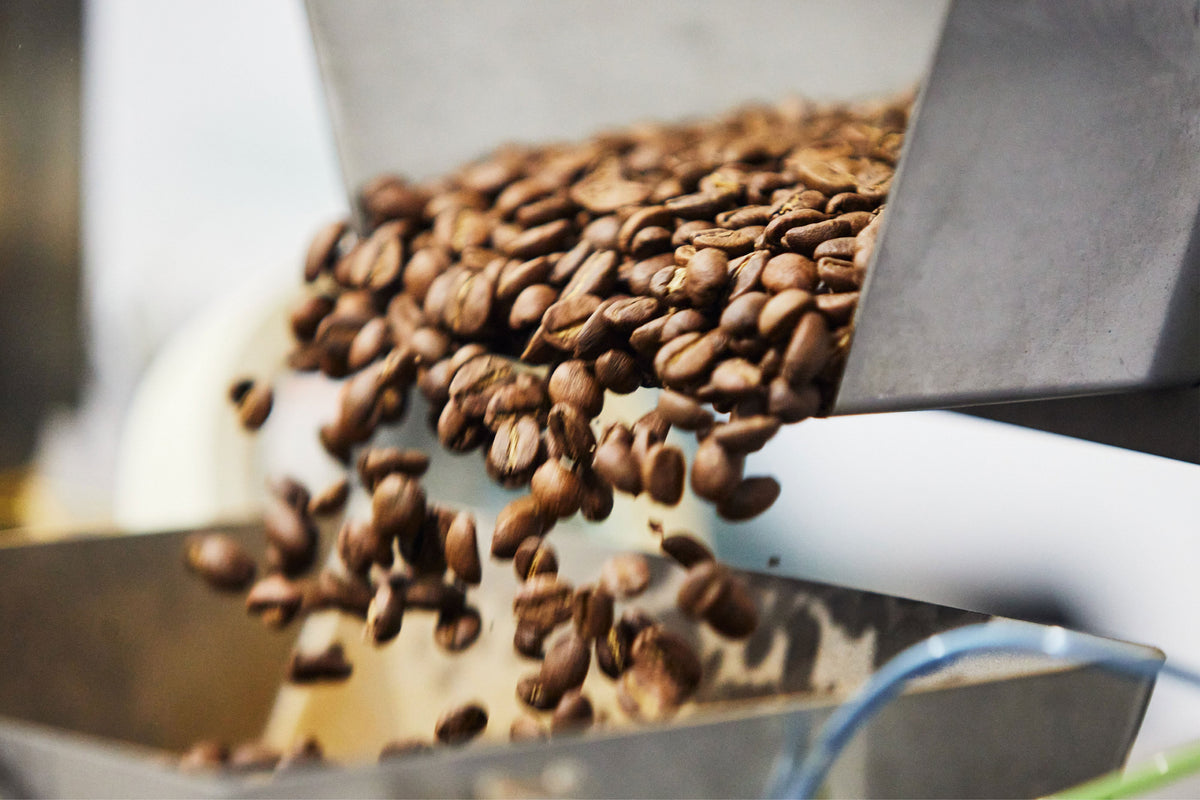 A Fresh Update To Our Signature Blend