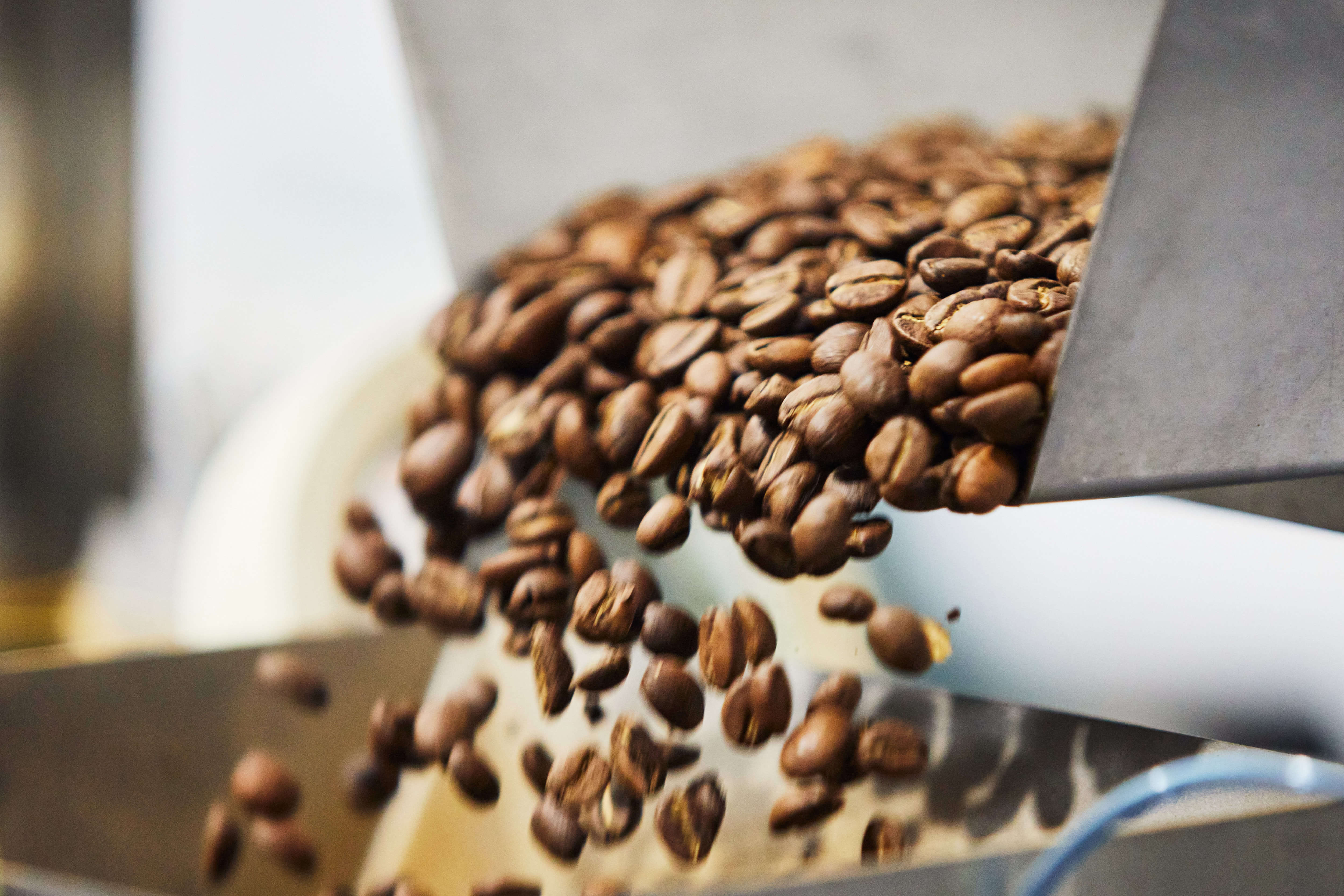 Specialty Coffee Roasting: When Is Your Coffee Actually At Its Best?