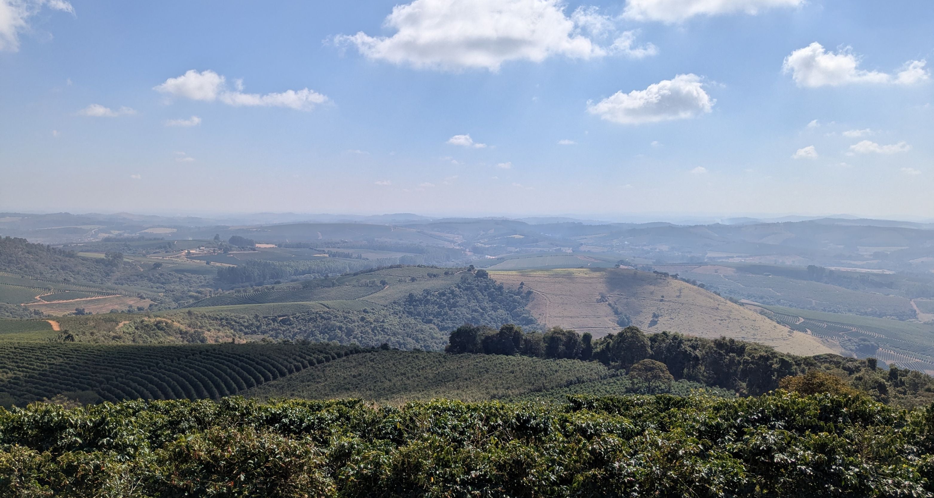 A Journey Through Brazil's Diverse Coffee Landscape