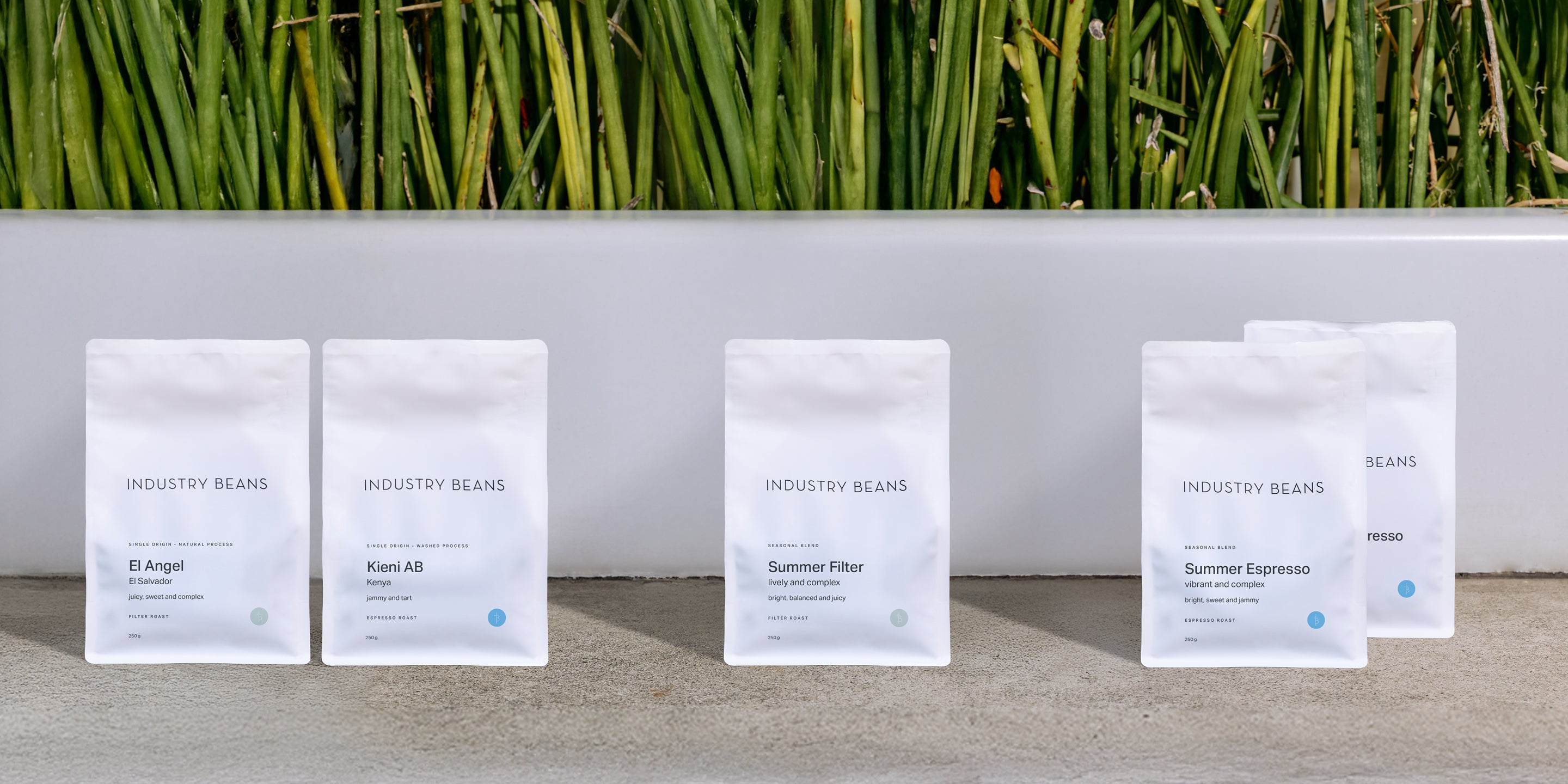 Industry Beans Summer Collection, Speciality Coffee Blends and Single Origin Roasts