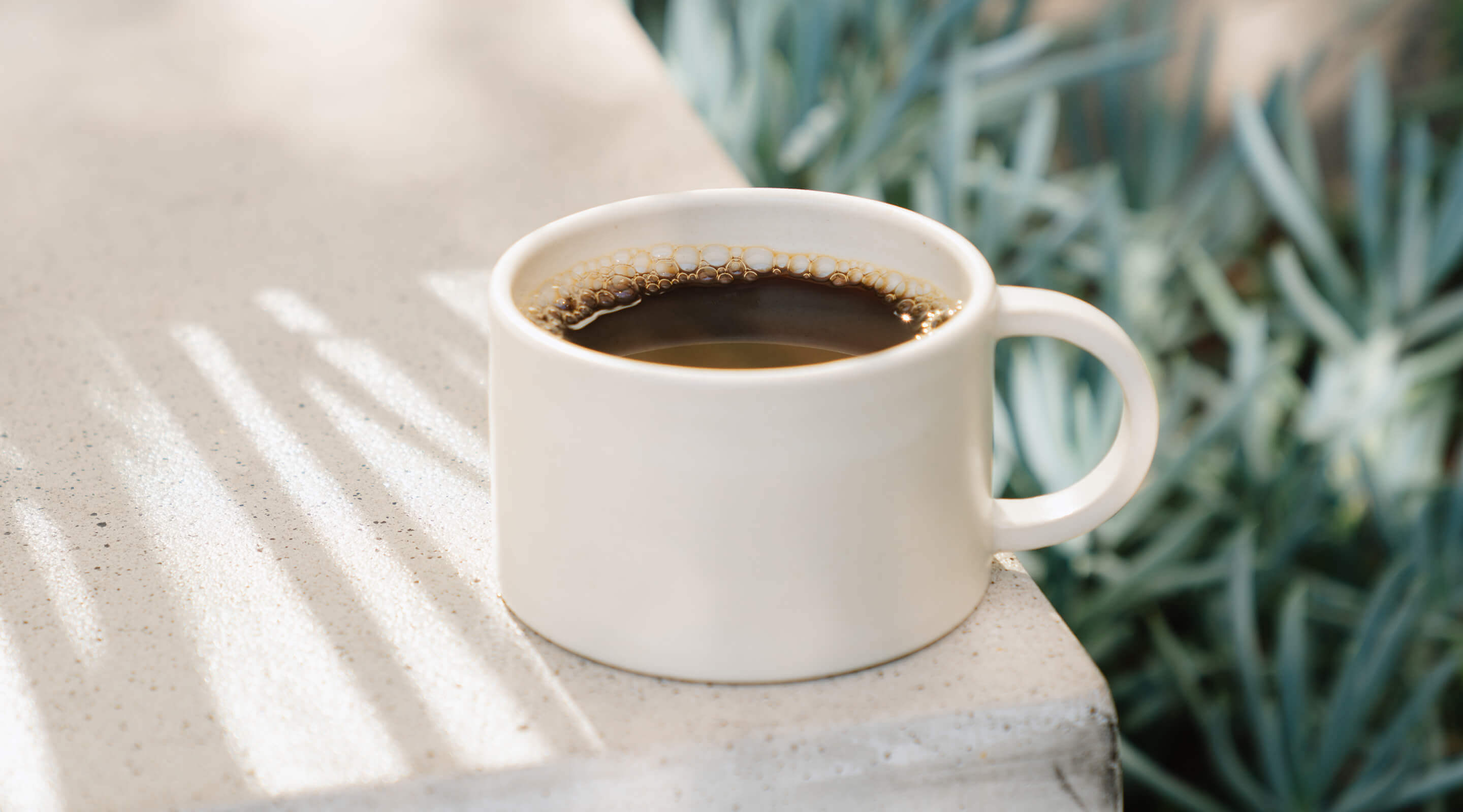 White mug with coffee on a stone surface with plants in the background