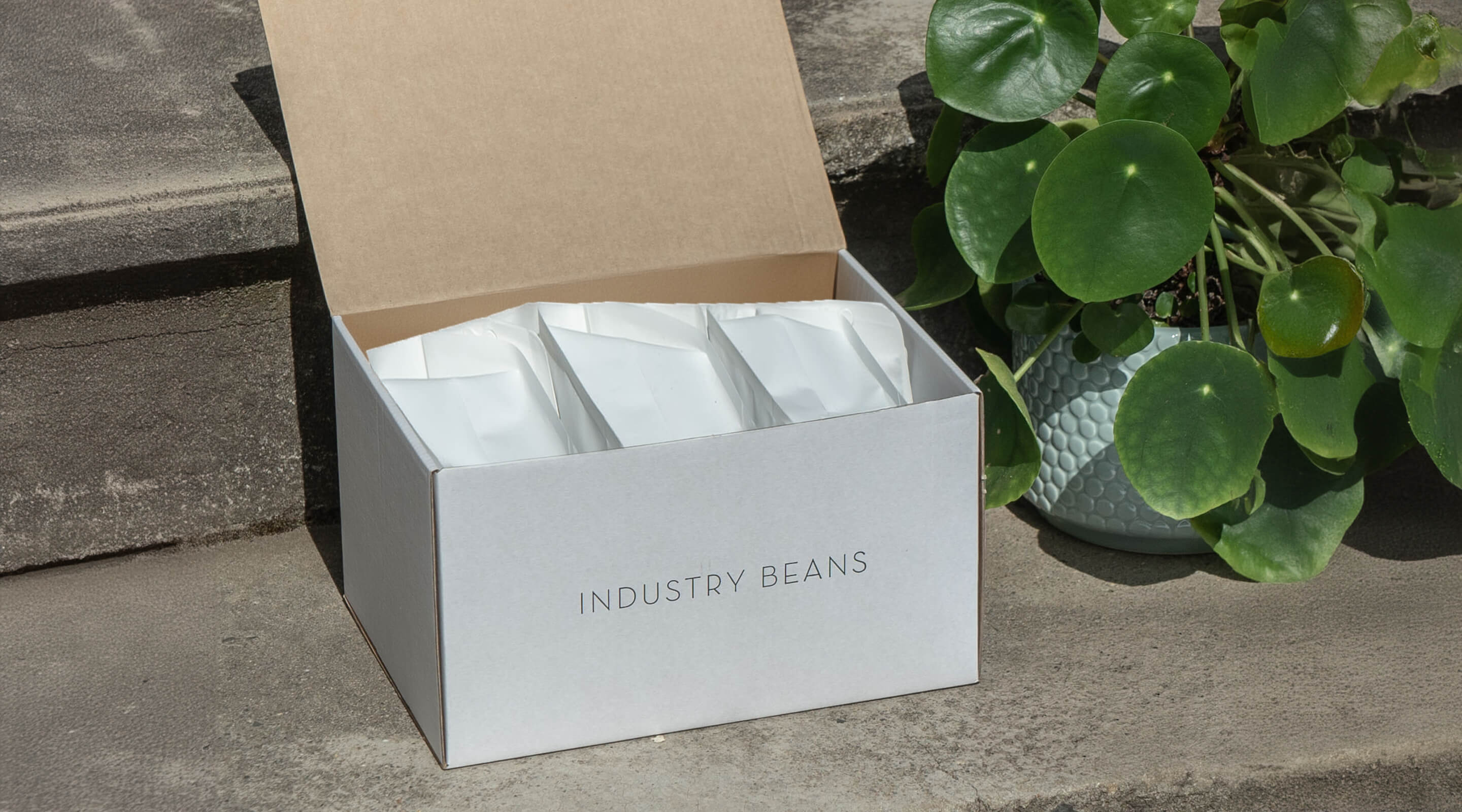 Box with 3 bags of coffee in it