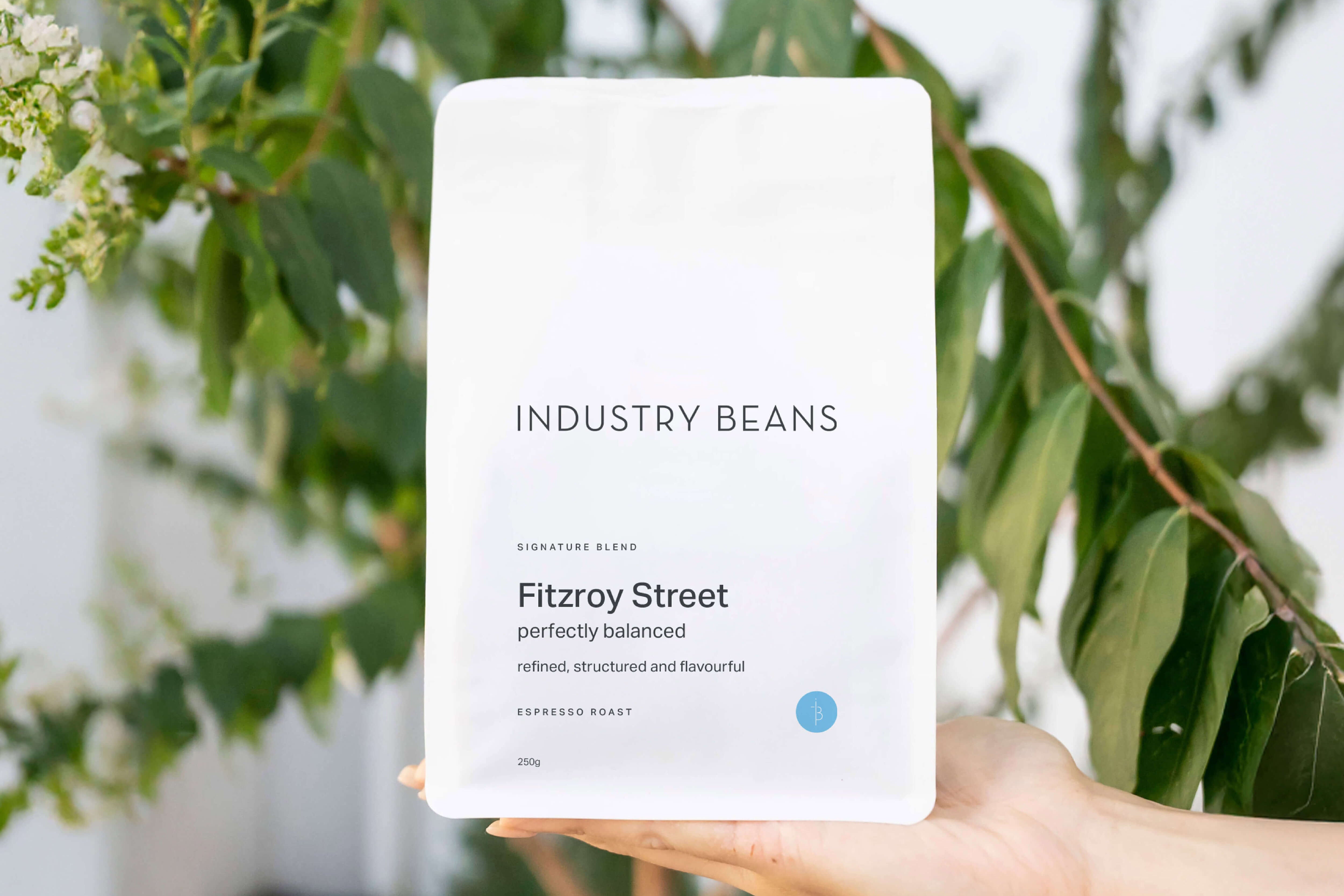 Hand holding Industry Beans Fitzroy Street Blend in front of greenery