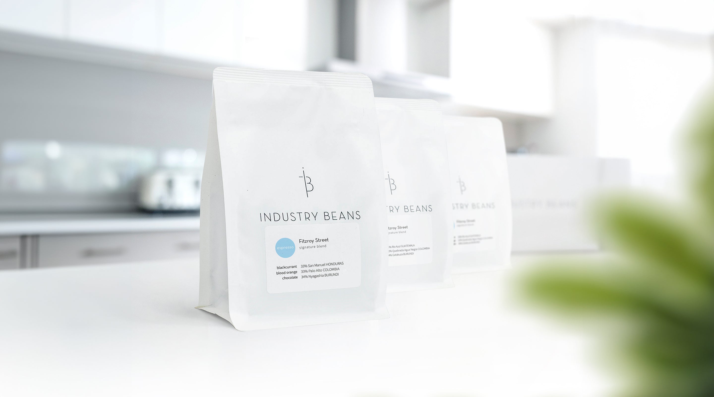 Gift Coffee Subscription - 3 Months