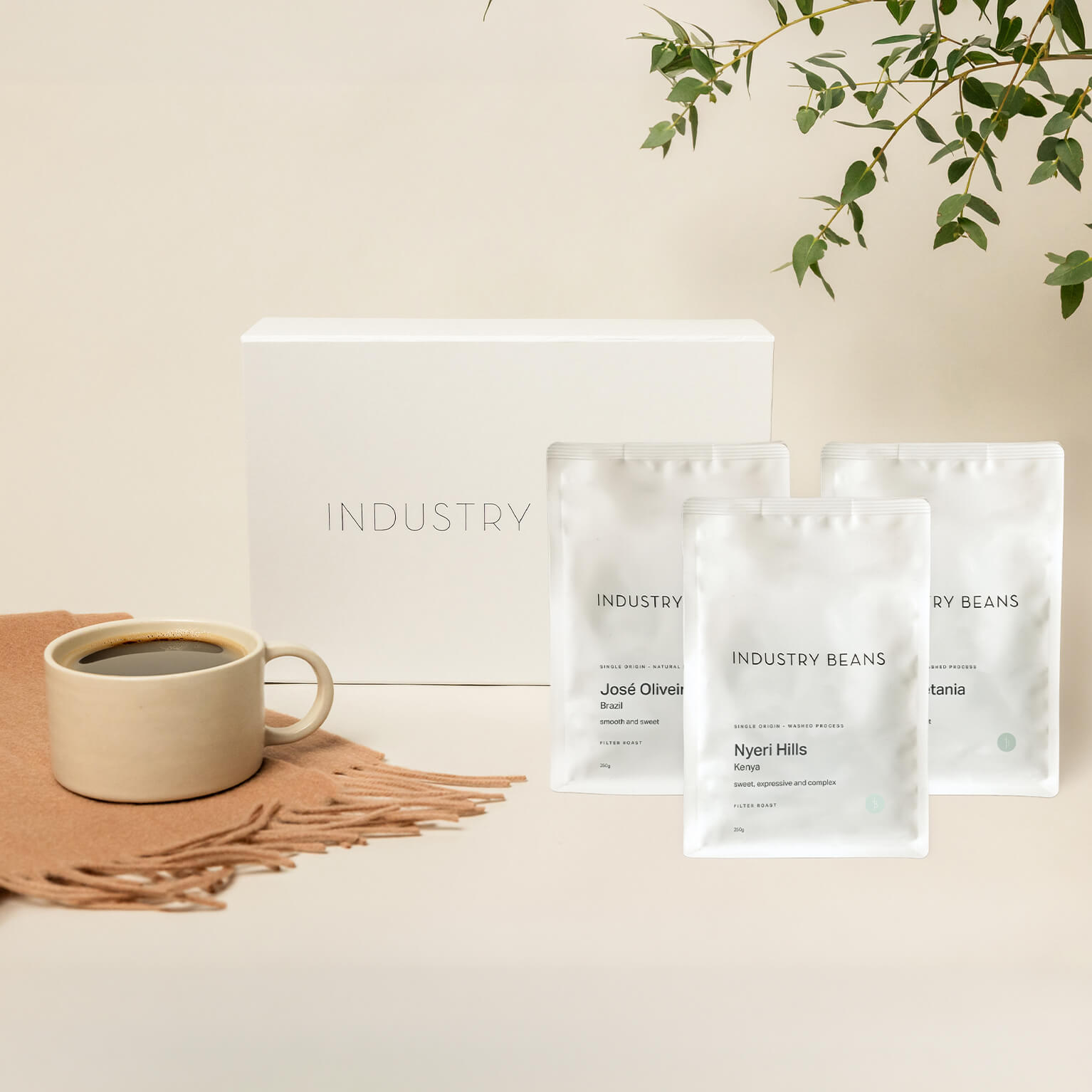 Filter Roast Bundle