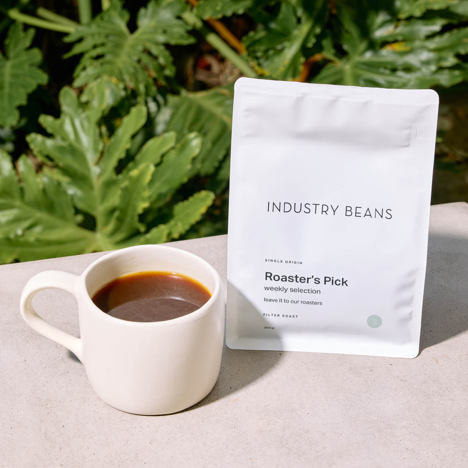 Filter Single Origin Roaster's Pick