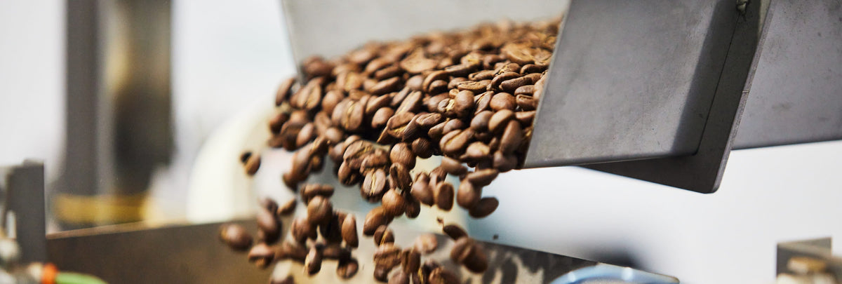 A Fresh Update To Our Signature Blend