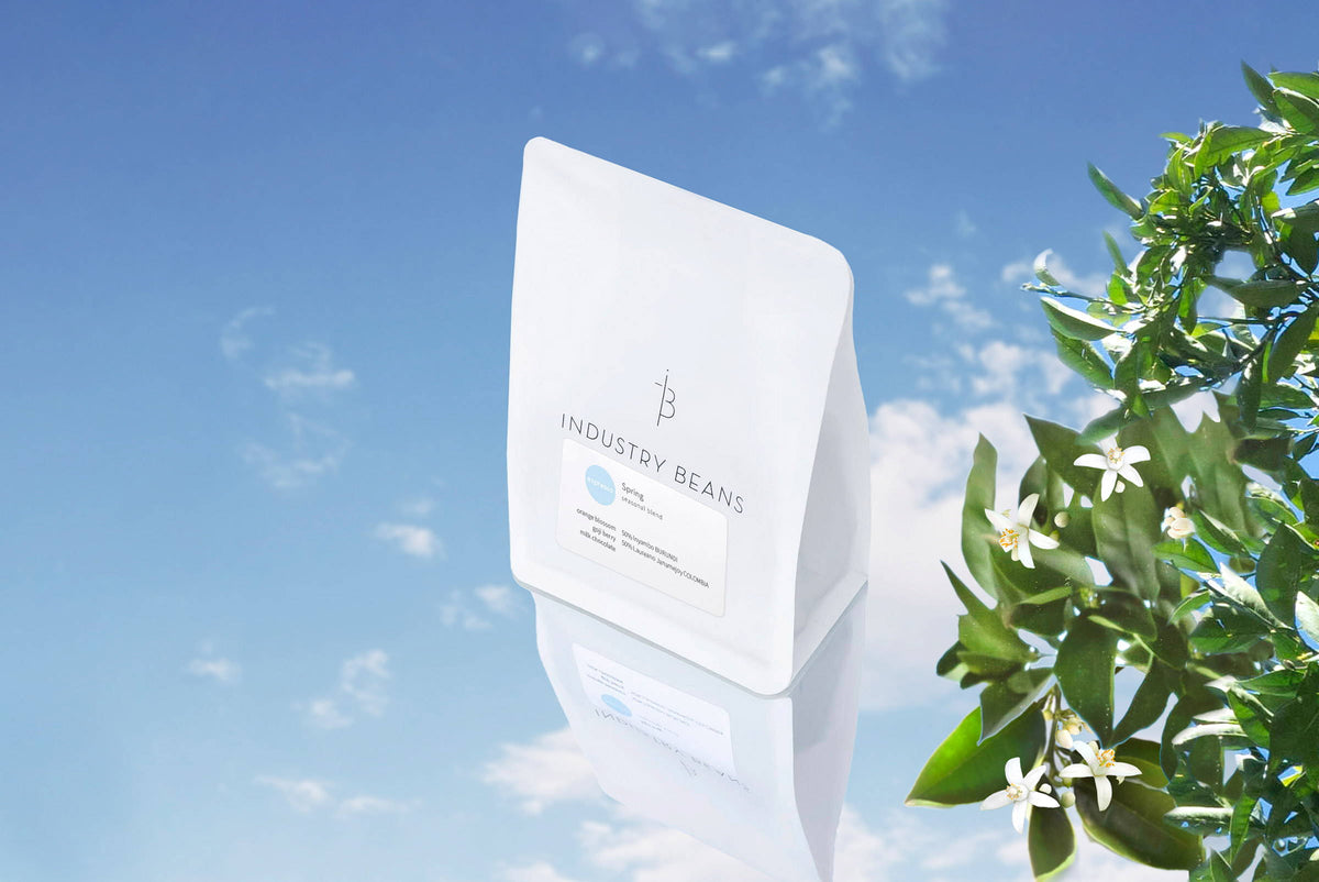 Introducing Our Newest Seasonal Roast: Spring Blend