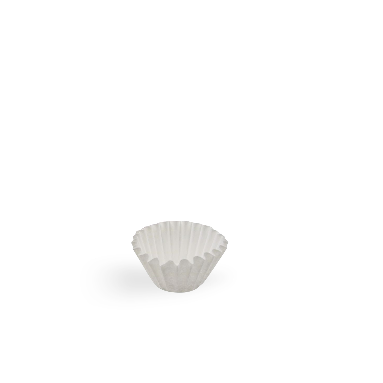 Single Spectrum Bruer Wave coffee filters on a white background