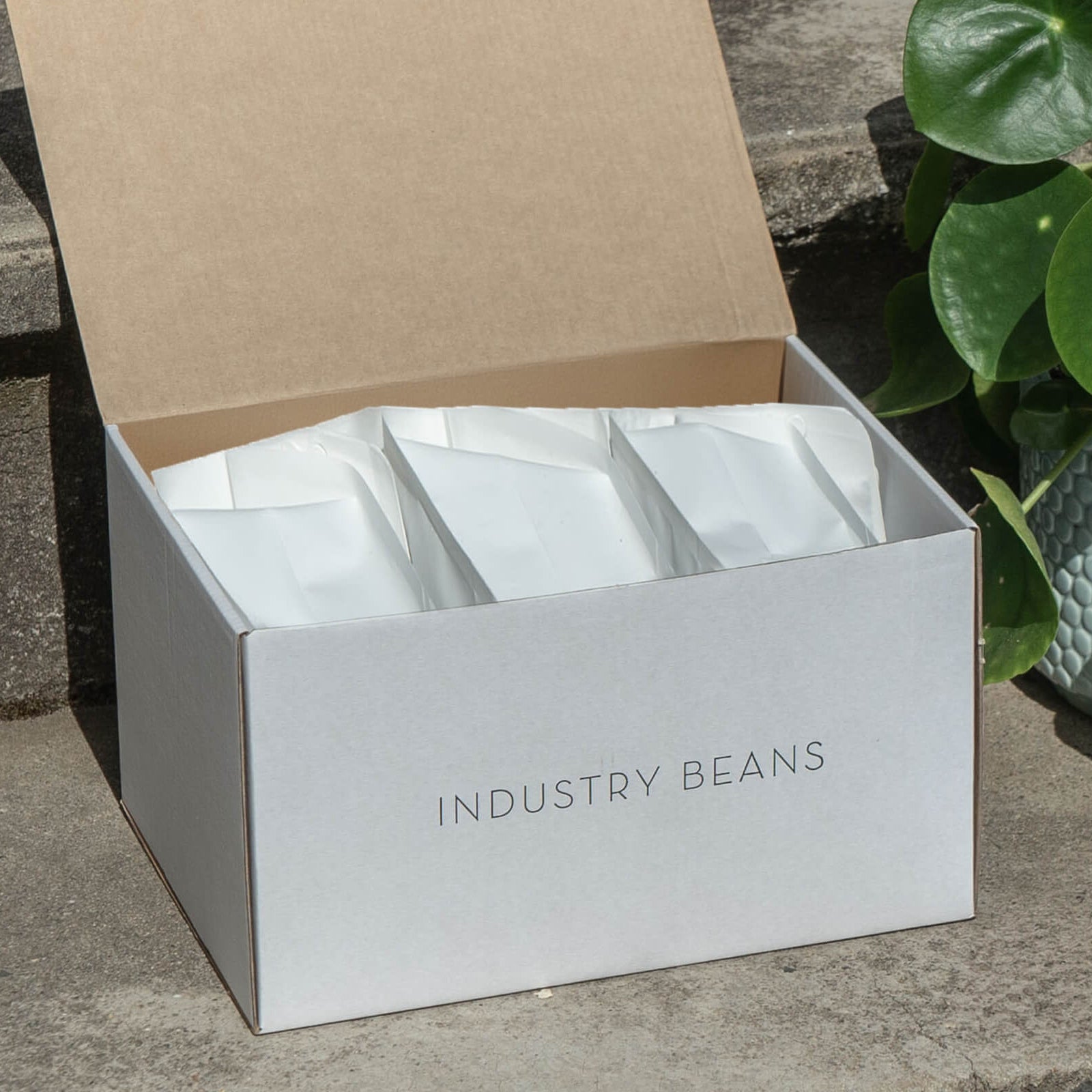 Box with 3 bags of coffee in it