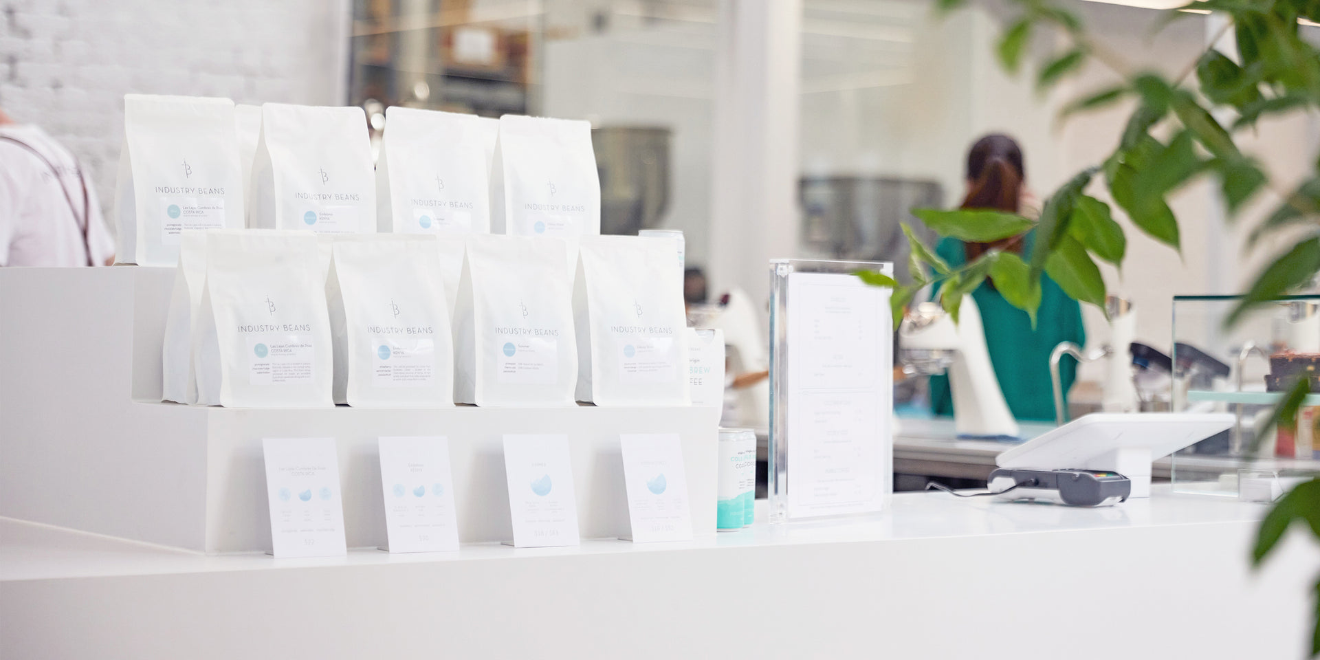 Image showcasing Wholesale