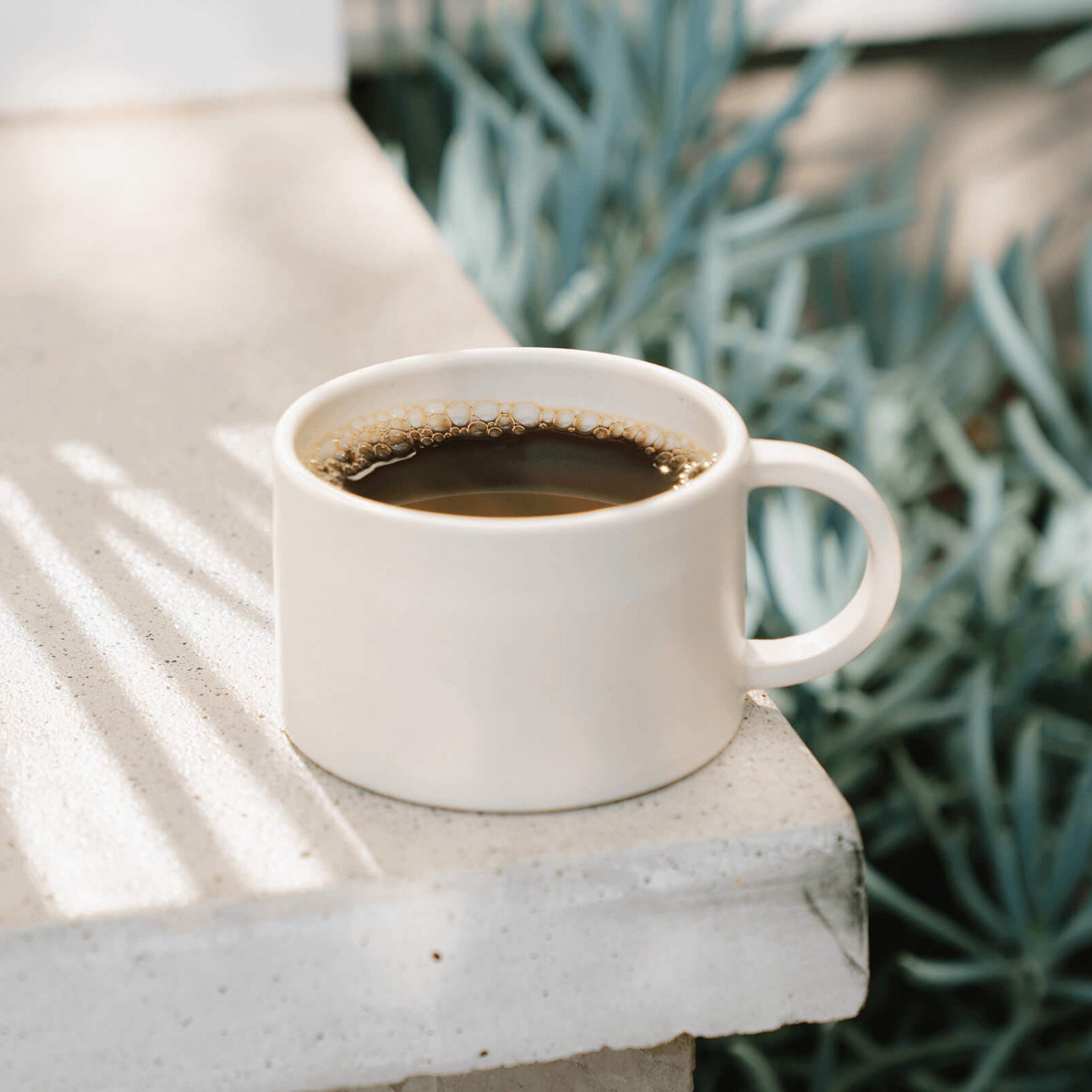 White mug with coffee on a concrete surface with plants in the background
