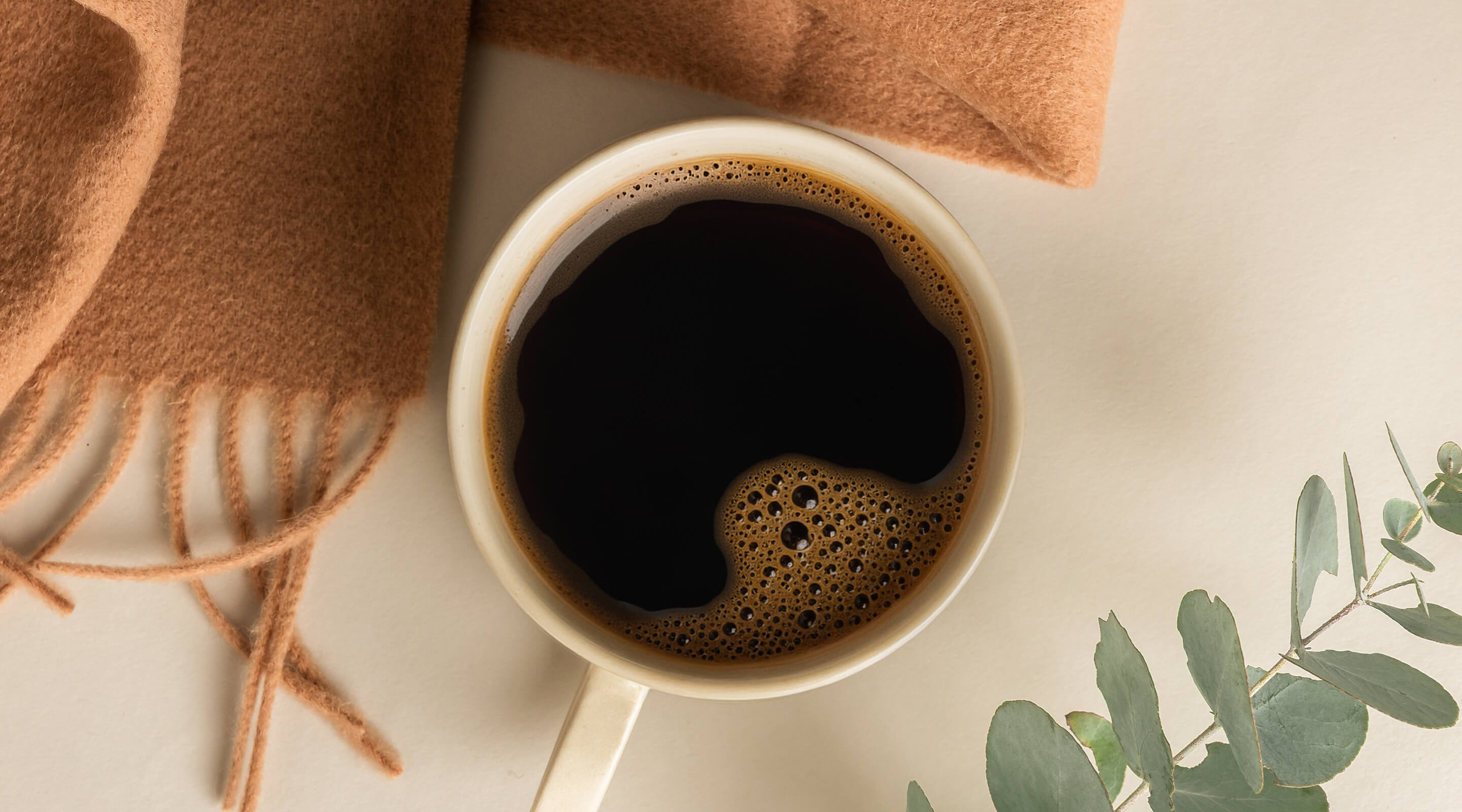 Seasonal Filter Blend