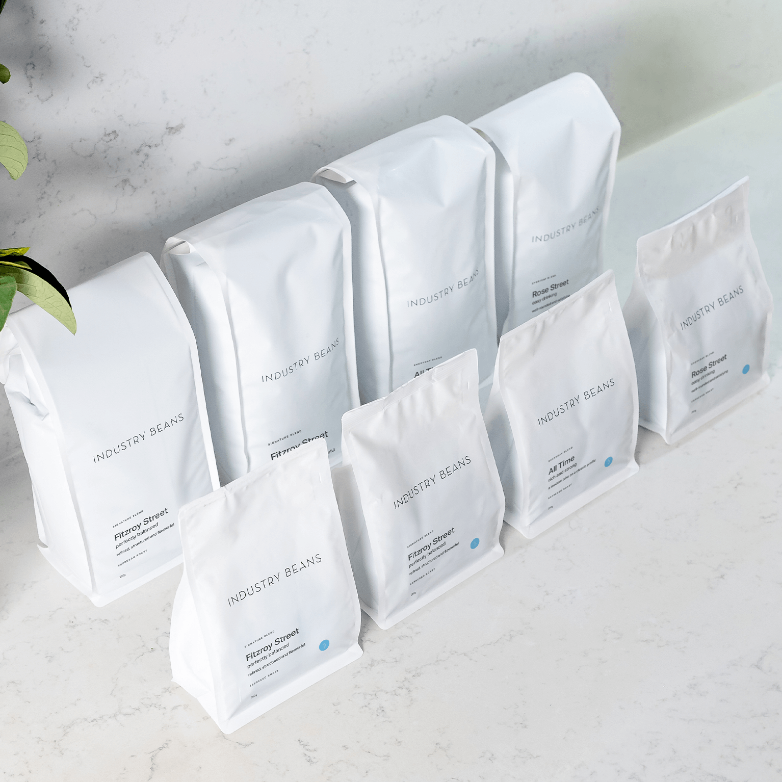 Give the gift of coffee with an Industry Beans coffee gift subscription