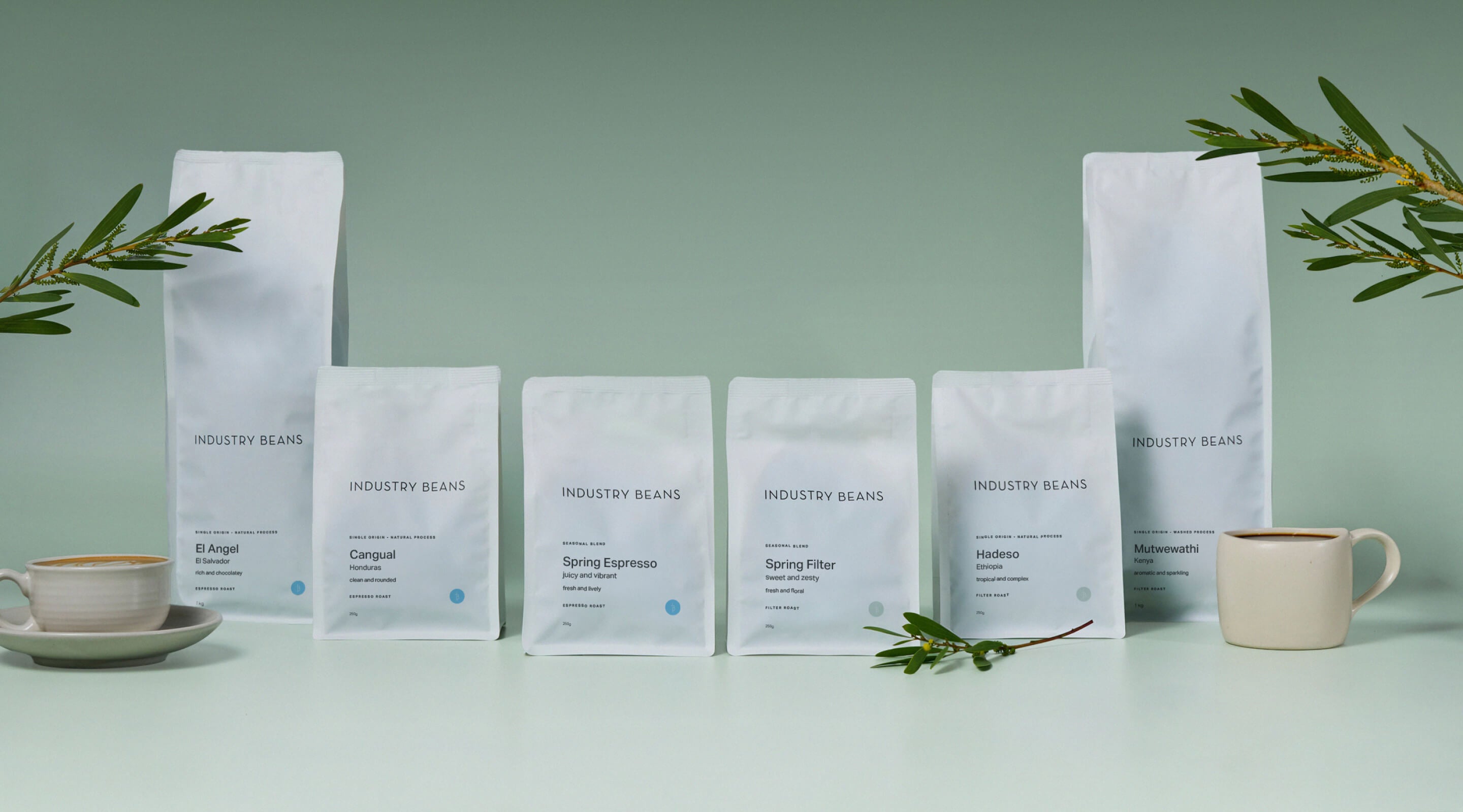 full range shot of industry beans spring collection